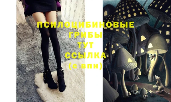 прущая мука Вязьма