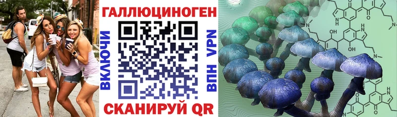 Купить  Красноярск  Галлюциногенные грибы Magic Shrooms 